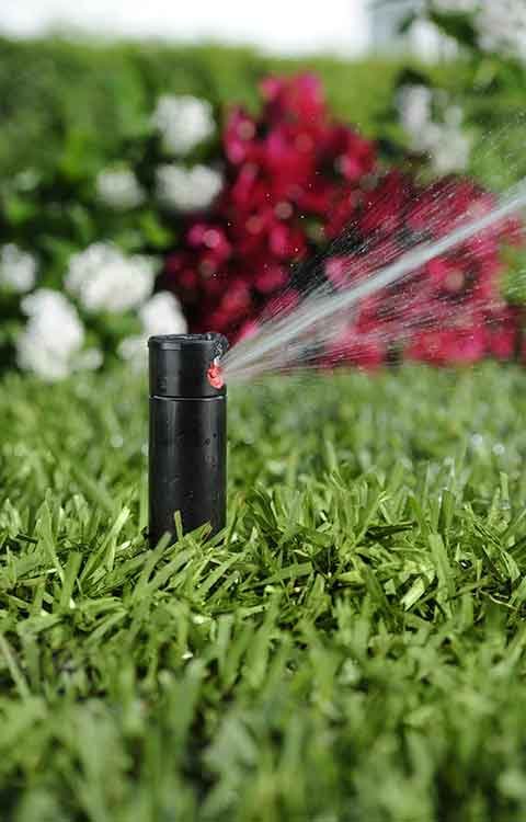 Arrosage-automatique-Agadir