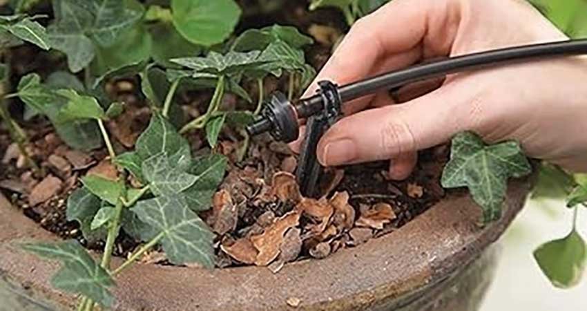 Arrosage-Pots-Maroc1