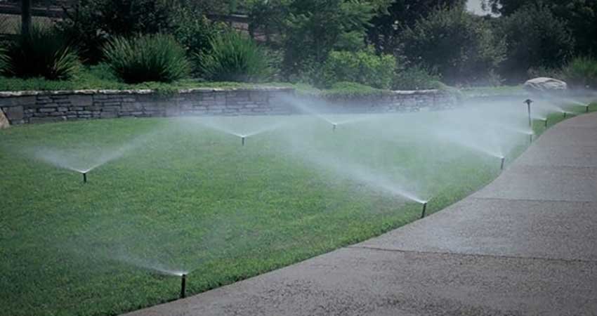 Arrosage-automatique-Maroc103