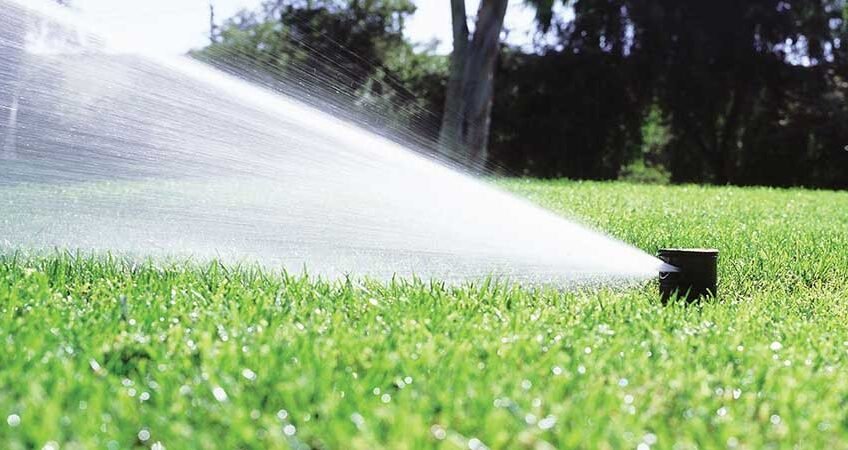 Arrosage-automatique-Maroc2