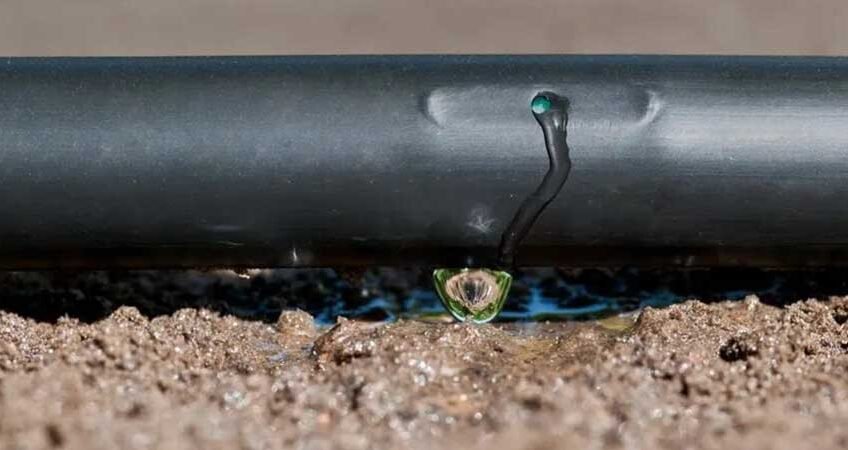 Entretien-Goutte-à-Goutte