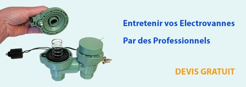 Entretien-electrovanne-arrosage
