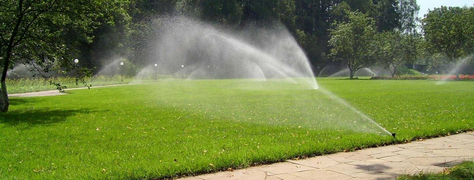 De La Conception A L’installation : Analyse Complète D’un Projet D’arrosage Automatique Performant