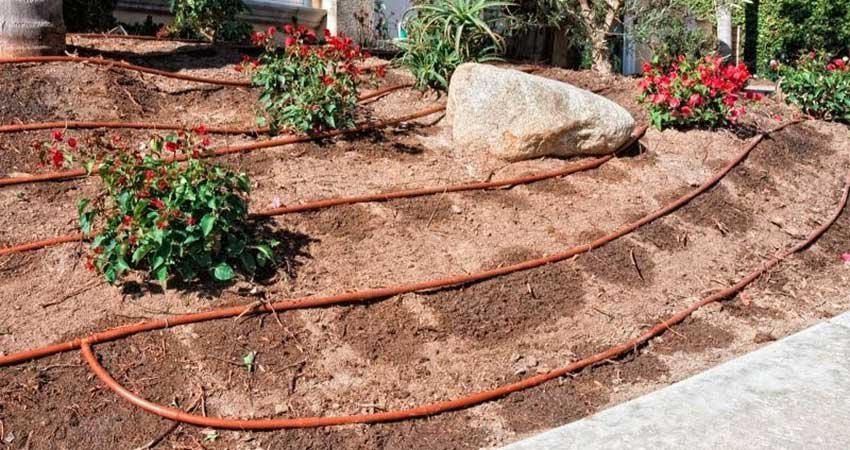 Goutte-à-Goutte-Maroc