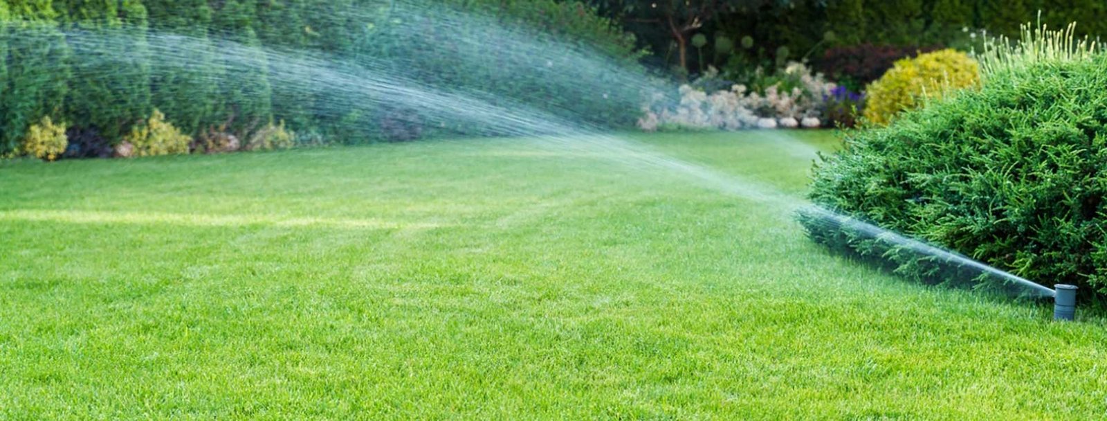 Installation Arrosage automatique au Maroc